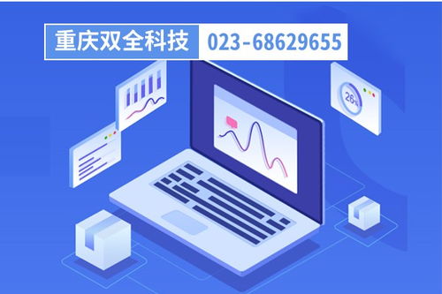 生产工厂管理系统荣昌重庆管家婆软件售后服务